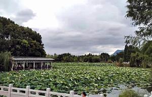 KUNMING - Parc Daguan - 44